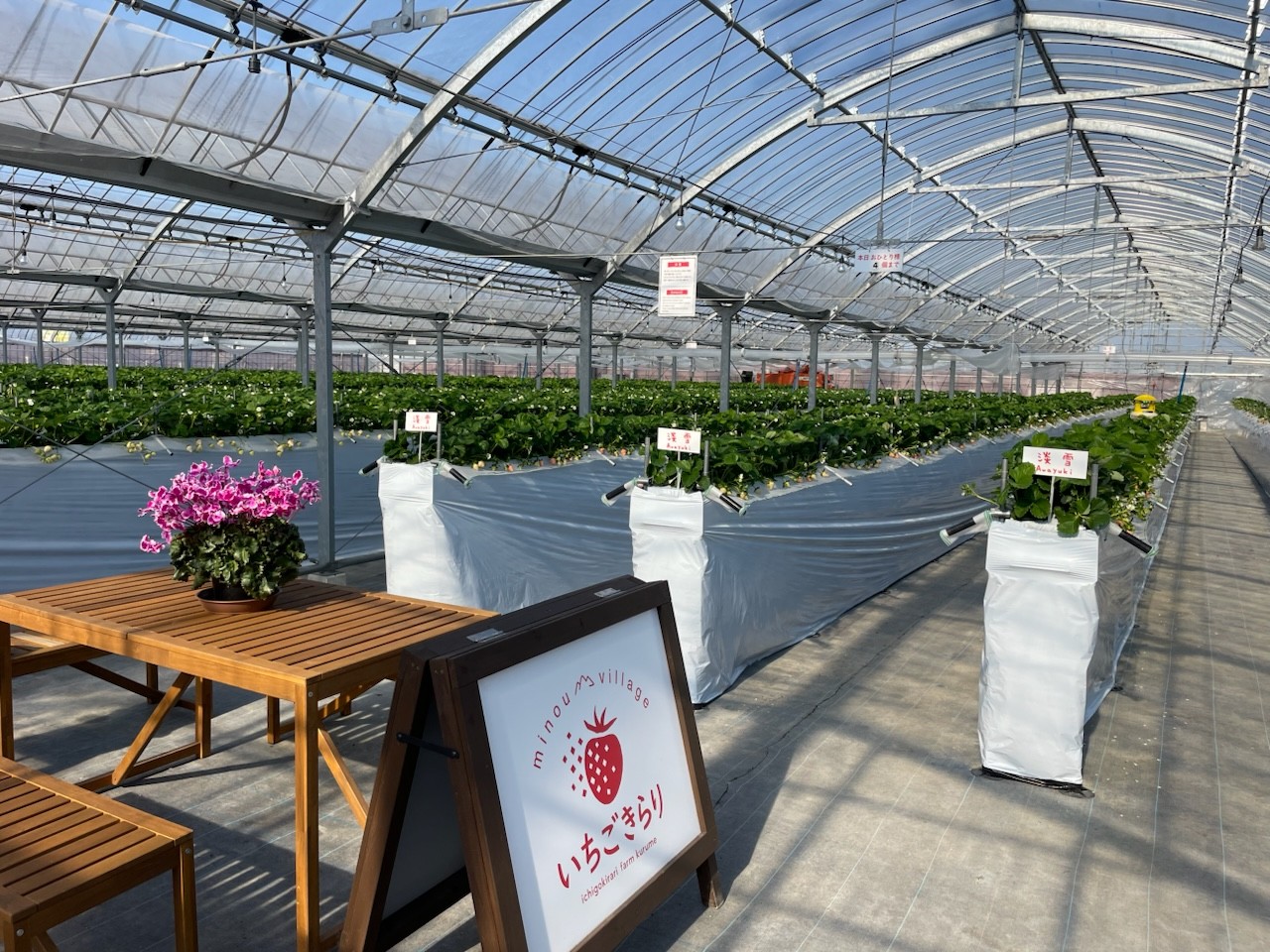 いちごきらり みのうヴィレッジ