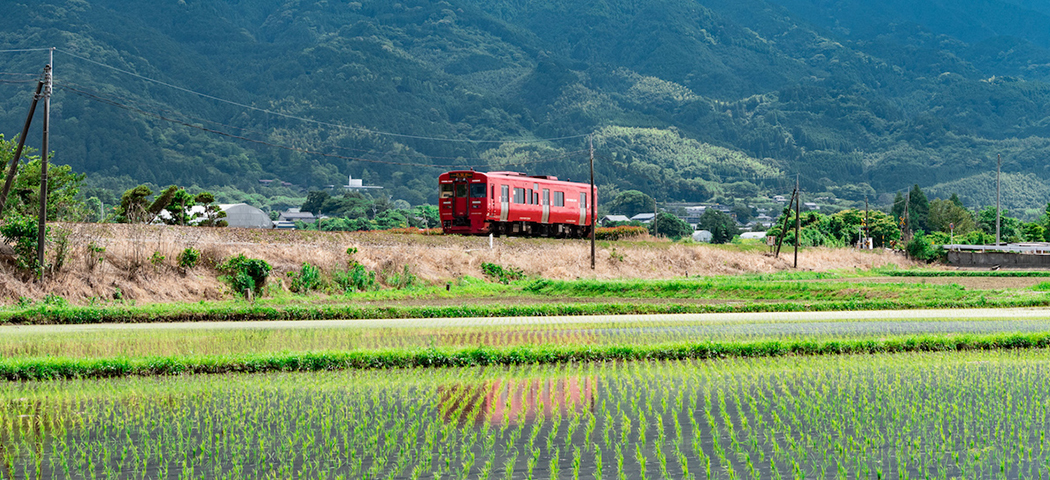 列車が走るのどかな風景の写真