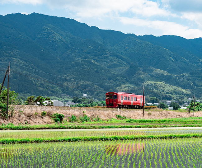 列車が走るのどかな風景の写真